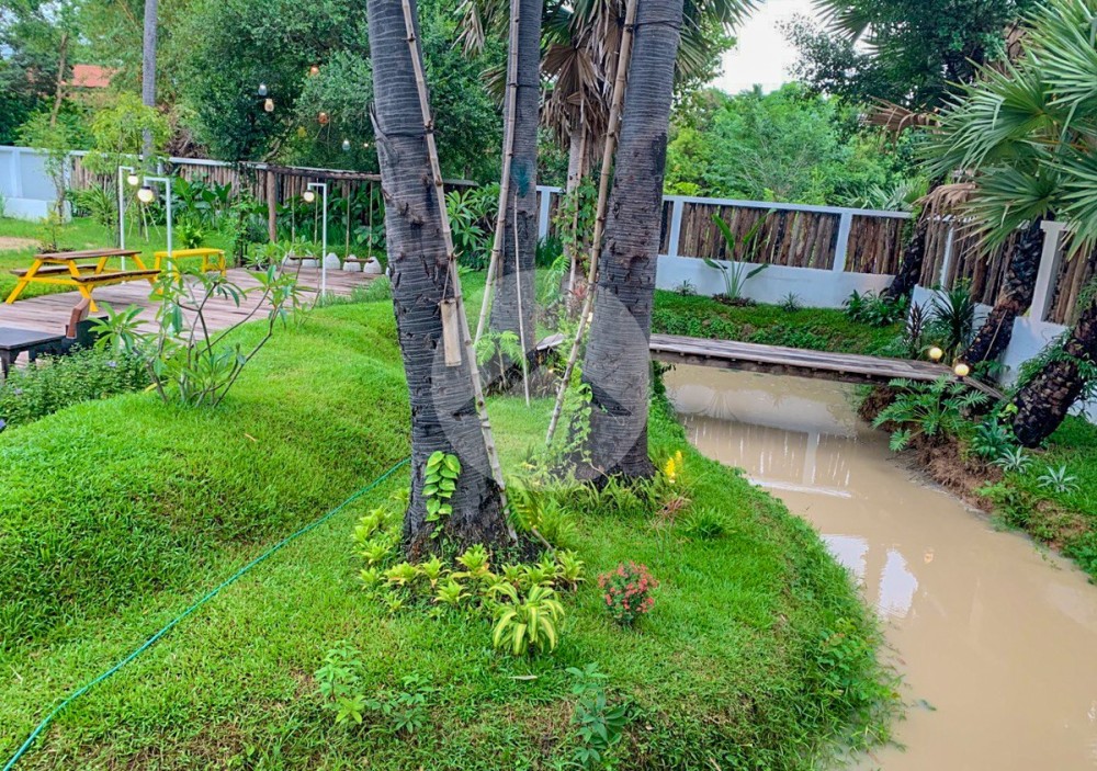 3700 Sqm Land For Sale - Chreav, Siem Reap - Image 10