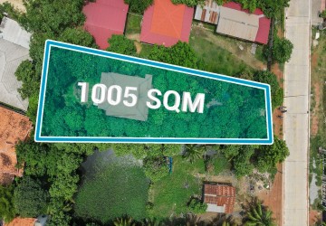 1005 Sqm Residential Land For Sale - Sala Kamreuk, Siem Reap thumbnail