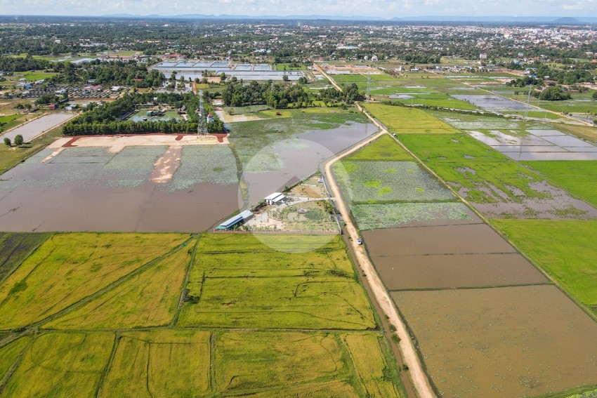 9753 Sqm Residential Land For Sale - Svay Dangkum, Siem Reap