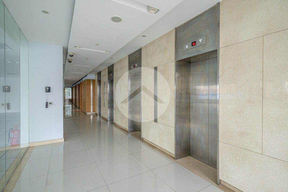 550 Sqm Office Space For Rent - Monivong BLVD, Khan 7 Makara, Phnom Penh - Image 3