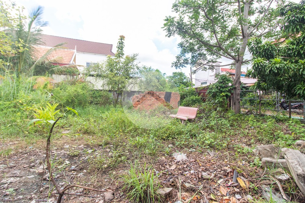 628 Sqm Land For Sale - Svay Dangkum, Siem Reap - Image 4