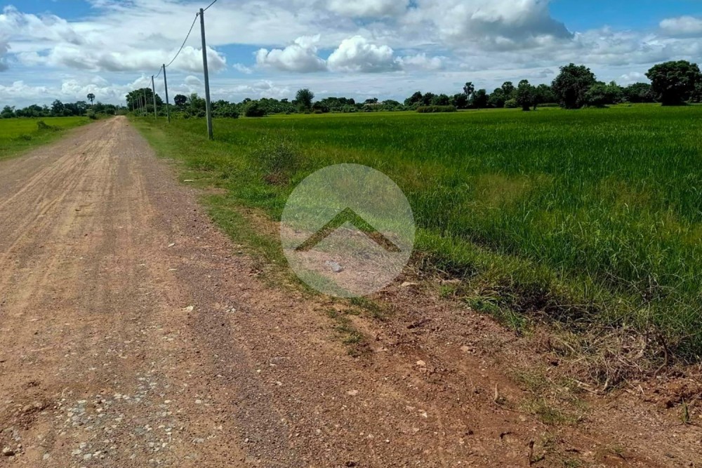 7619 Sqm Land For Sale - Battambang, Other Areas - Image 5 7619 Sqm Land For Sale - Battambang, Other Areas - Image 5