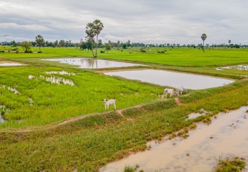 13 Hectare Land For Rent - Kampong Speu Province thumbnail
