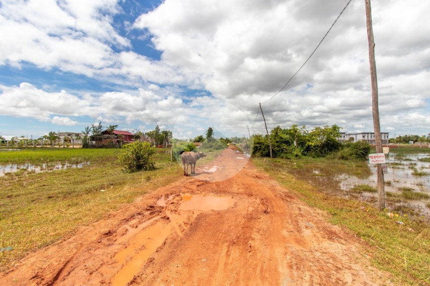 923 Sqm Residential Land For Sale - Chreav, Siem Reap