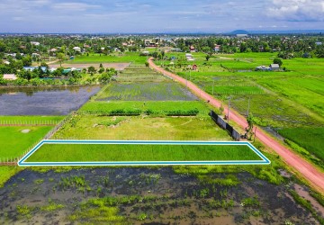 1008 Sqm Land For Sale - Bakong District, Siem Reap thumbnail