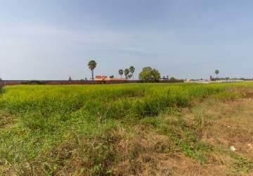 5915 Sqm Residential Land For Sale - Krabi Riel, Siem Reap thumbnail