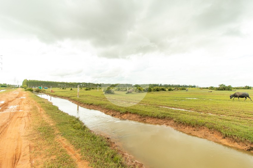 14200 Sqm Land For Sale - Chreav, Siem Reap