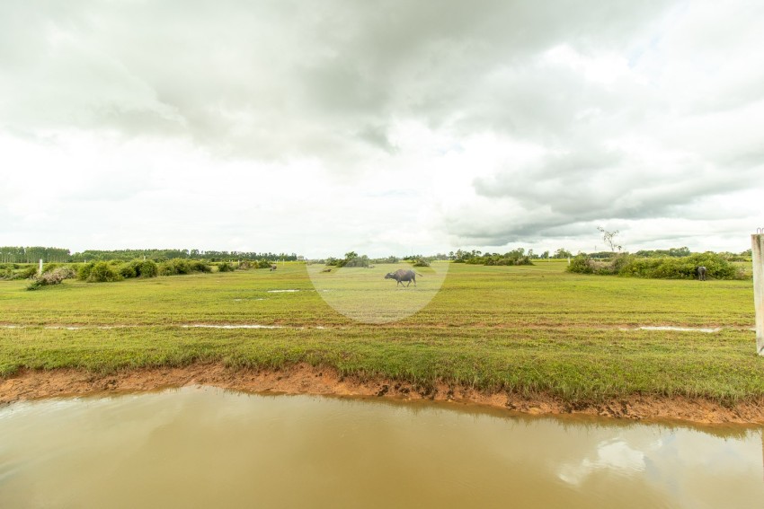 14200 Sqm Land For Sale - Chreav, Siem Reap