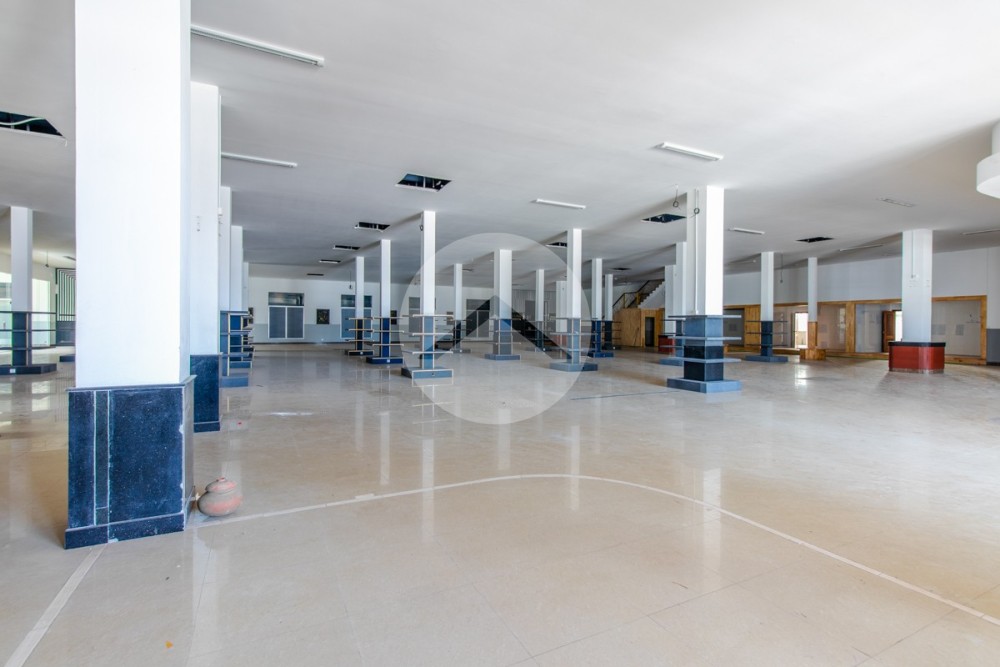 3000 Sqm Commercial Space For Rent - Svay Dangkum, Siem Reap - Image 8