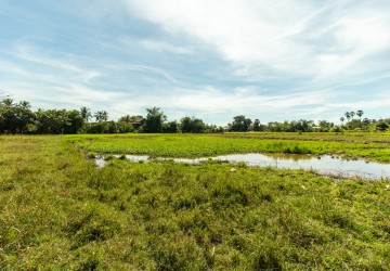 3539 Sqm Land For Sale - Svay Dangkum, Siem Reap thumbnail