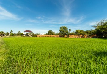 3539 Sqm Land For Sale - Svay Dangkum, Siem Reap thumbnail