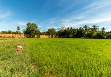 3539 Sqm Land For Sale - Svay Dangkum, Siem Reap thumbnail