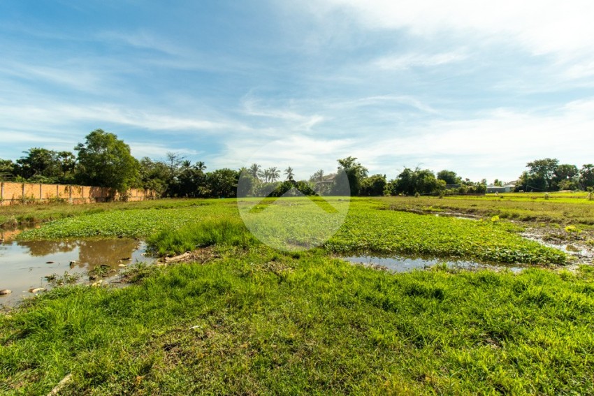 3539 Sqm Land For Sale - Svay Dangkum, Siem Reap