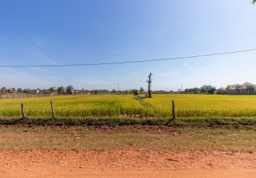 7719 Sqm Residential Land For Sale - Kandaek, Siem Reap thumbnail