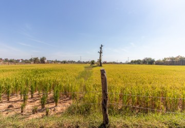 7719 Sqm Residential Land For Sale - Kandaek, Siem Reap thumbnail