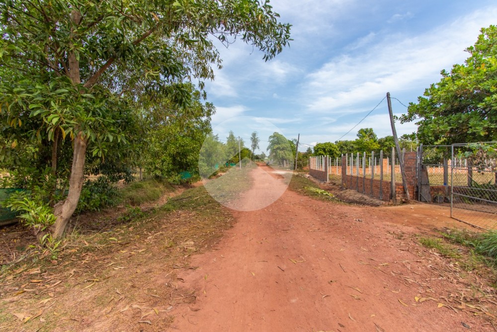 1 Hectare Land For Sale - Kandaek, Siem Reap - Image 4 1 Hectare Land For Sale - Kandaek, Siem Reap - Image 4