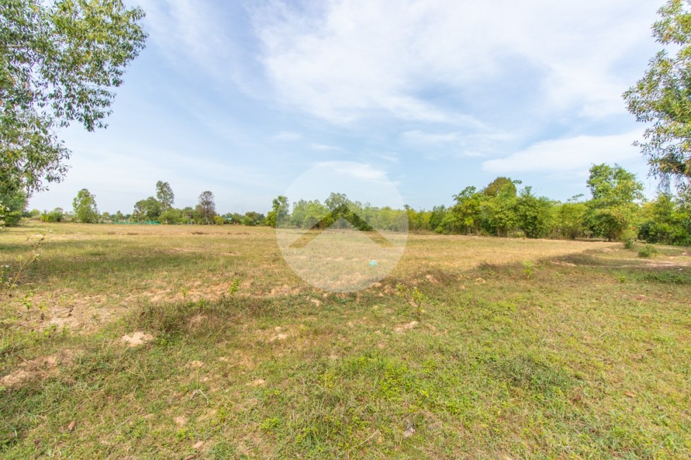 1 Hectare Land For Sale - Kandaek, Siem Reap - Image 3 1 Hectare Land For Sale - Kandaek, Siem Reap - Image 3
