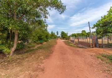 1 Hectare Land For Sale - Kandaek, Siem Reap thumbnail