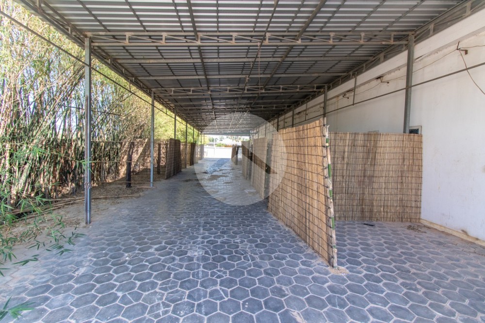 3000 Sqm Commercial Space For Rent - Svay Dangkum, Siem Reap - Image 11