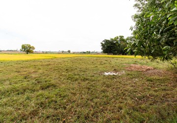 731 Sqm Land For Sale - Svay Dangkum, Siem Reap thumbnail