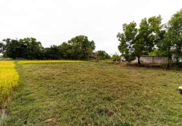 731 Sqm Land For Sale - Svay Dangkum, Siem Reap thumbnail