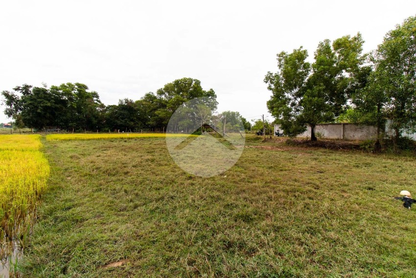 731 Sqm Land For Sale - Svay Dangkum, Siem Reap