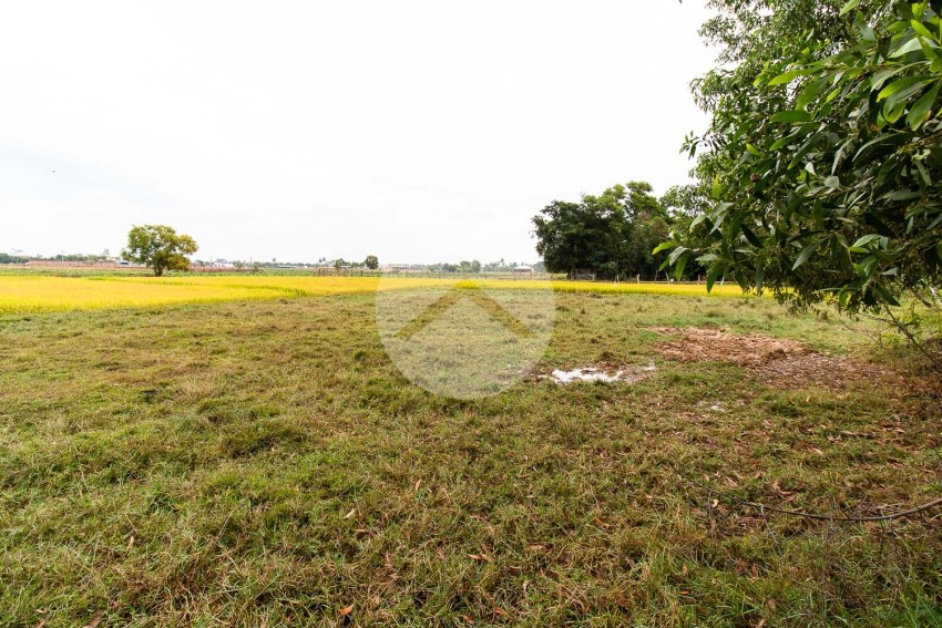 731 Sqm Land For Sale - Svay Dangkum, Siem Reap