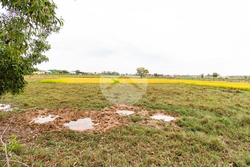 731 Sqm Land For Sale - Svay Dangkum, Siem Reap