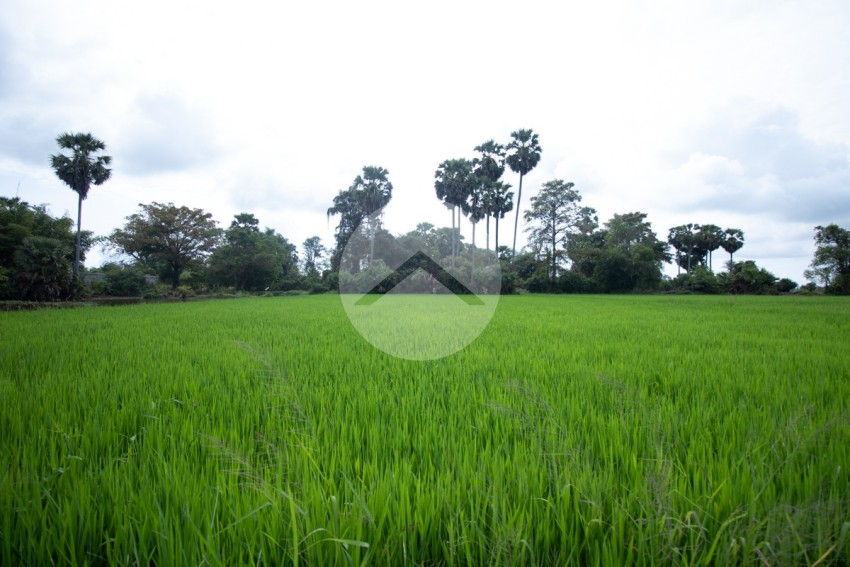 6000 Sqm Residential Land - Sangkat Siem Reap, Siem Reap