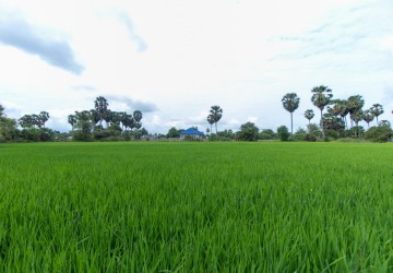 6000 Sqm Residential Land - Sangkat Siem Reap, Siem Reap thumbnail