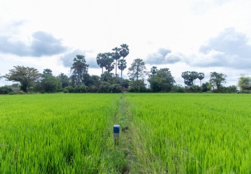 6000 Sqm Residential Land - Sangkat Siem Reap, Siem Reap thumbnail