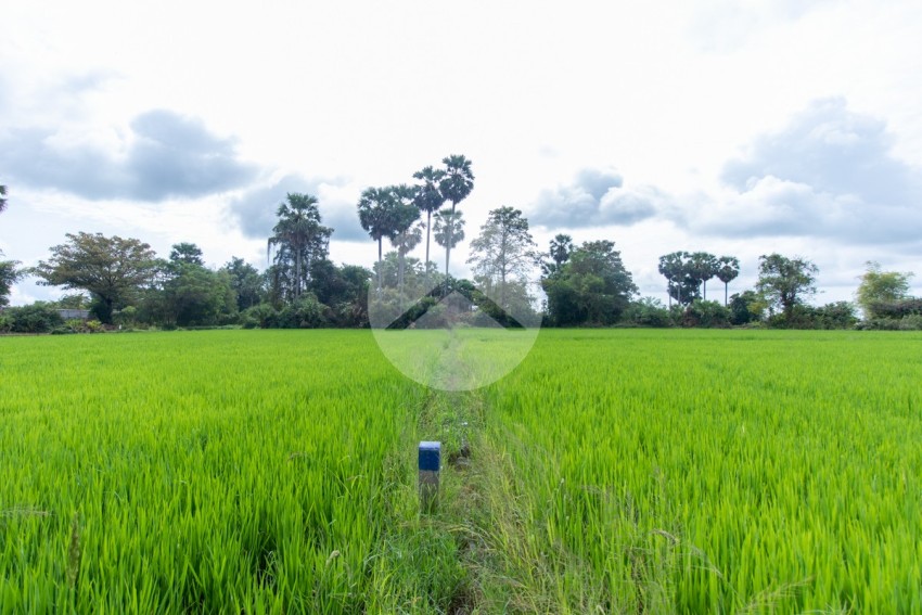 6000 Sqm Residential Land - Sangkat Siem Reap, Siem Reap