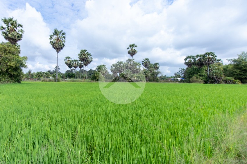 6000 Sqm Residential Land - Sangkat Siem Reap, Siem Reap