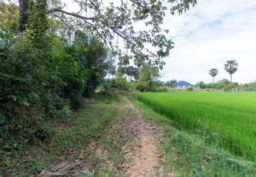 6000 Sqm Residential Land - Sangkat Siem Reap, Siem Reap thumbnail