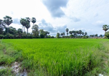 6000 Sqm Residential Land - Sangkat Siem Reap, Siem Reap thumbnail