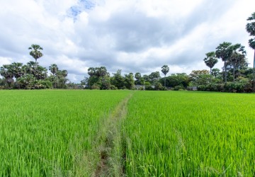 6000 Sqm Residential Land - Sangkat Siem Reap, Siem Reap thumbnail