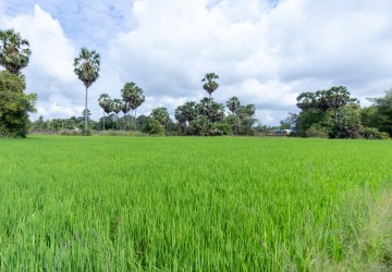 6000 Sqm Residential Land - Sangkat Siem Reap, Siem Reap thumbnail