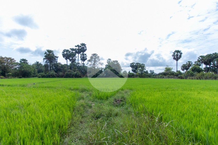 6000 Sqm Residential Land - Sangkat Siem Reap, Siem Reap