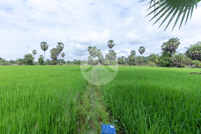 6000 Sqm Residential Land - Sangkat Siem Reap, Siem Reap