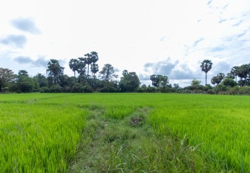 6000 Sqm Residential Land - Sangkat Siem Reap, Siem Reap thumbnail