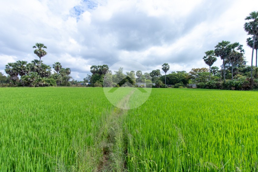 6000 Sqm Residential Land - Sangkat Siem Reap, Siem Reap