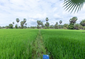 6000 Sqm Residential Land - Sangkat Siem Reap, Siem Reap thumbnail