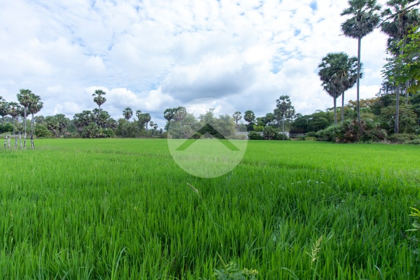 6000 Sqm Residential Land - Sangkat Siem Reap, Siem Reap