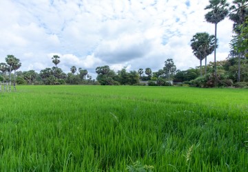 6000 Sqm Residential Land - Sangkat Siem Reap, Siem Reap thumbnail