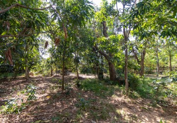 405 Sqm Residential Land For Sale - Sala Kamreuk, Siem Reap thumbnail