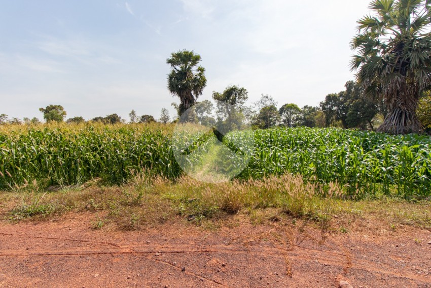 1,227 Sqm Residential Land For Sale - Road 60 , Siem Reap