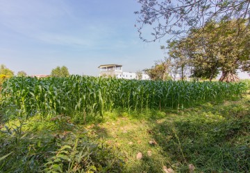 1,227 Sqm Residential Land For Sale - Road 60 , Siem Reap thumbnail