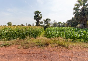 1,227 Sqm Residential Land For Sale - Road 60 , Siem Reap thumbnail