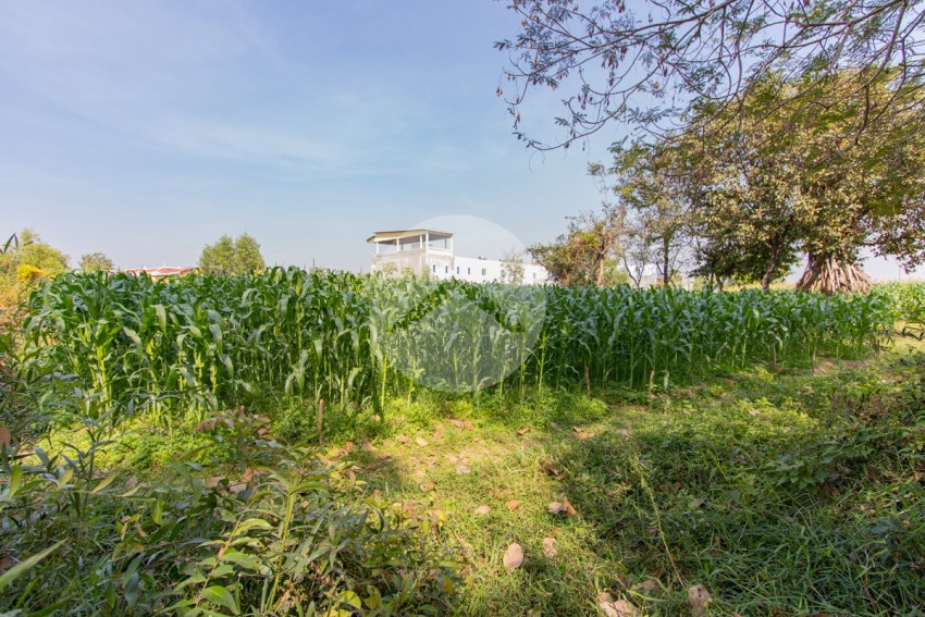 1,227 Sqm Residential Land For Sale - Road 60 , Siem Reap