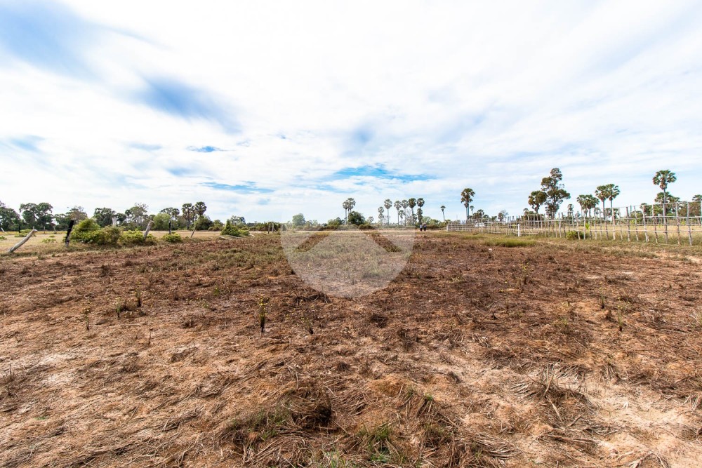 2,088 Sqm Residential Land For Sale - Kandaek, Siem Reap - Image 6